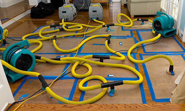 Professional Crawl Space Water Removal technician working in Meriden, WY